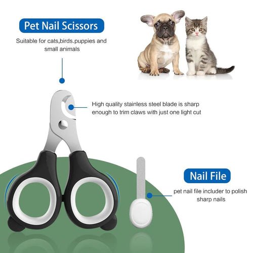 Discover the Ultimate Pet Grooming Solution 7 - in - 1 Grooming Kit - ClickCrate Discover the Ultimate Pet Grooming Solution 7 - in - 1 Grooming Kit