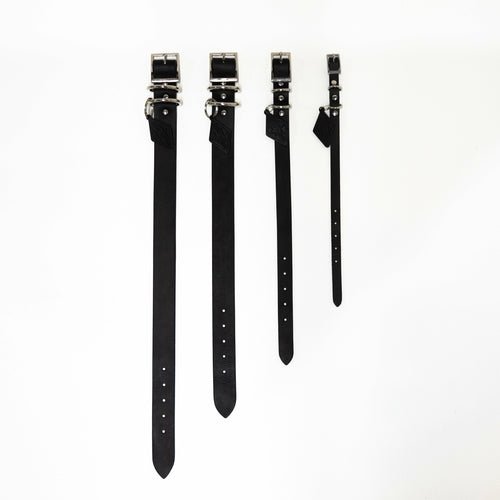 Leather Dog Collar - Classic - ClickCrate Leather Dog Collar - Classic
