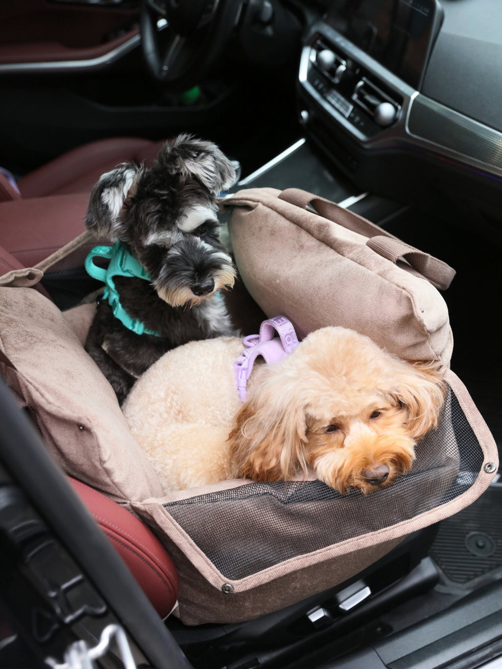 Puff Guard Dog Car Seat - Blue - ClickCrate Puff Guard Dog Car Seat - Blue