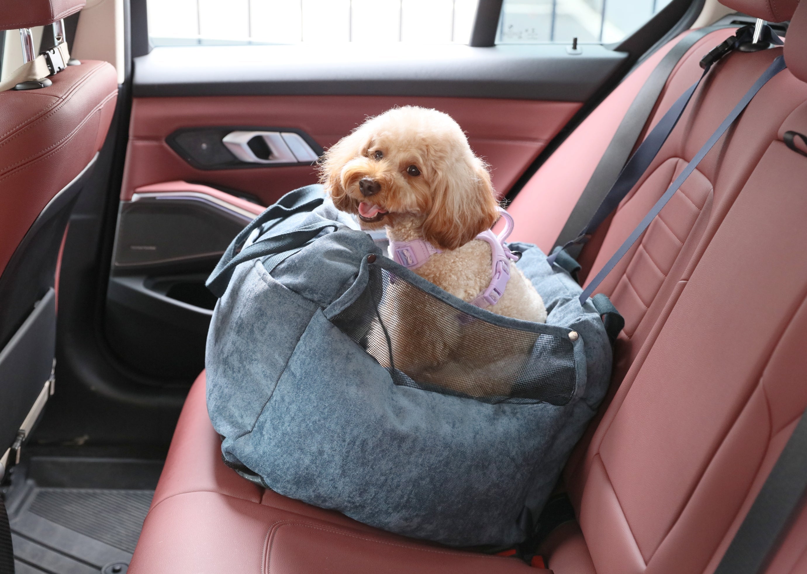 Puff Guard Dog Car Seat - Blue - ClickCrate Puff Guard Dog Car Seat - Blue