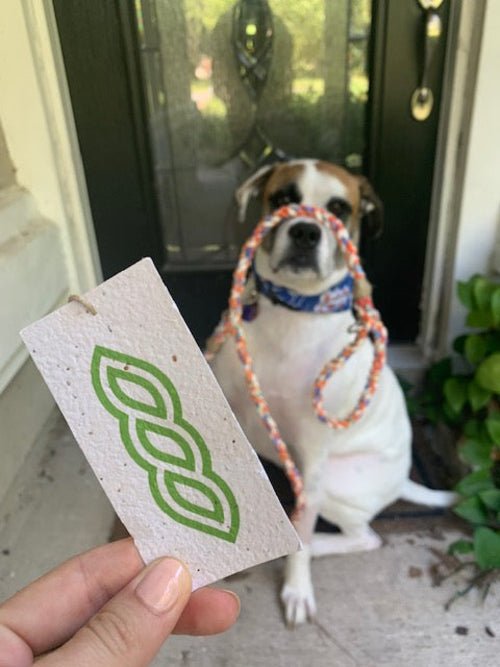 ReRope Small Looper Upcycled Fabric Rope Dog Toys - ClickCrate ReRope Small Looper Upcycled Fabric Rope Dog Toys
