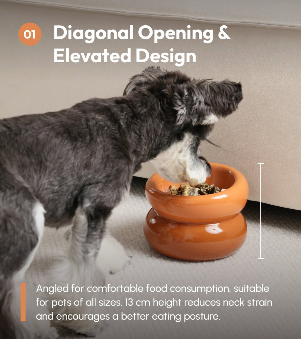 Soufflé Pet Bowl - Amber Orange - ClickCrate Soufflé Pet Bowl - Amber Orange