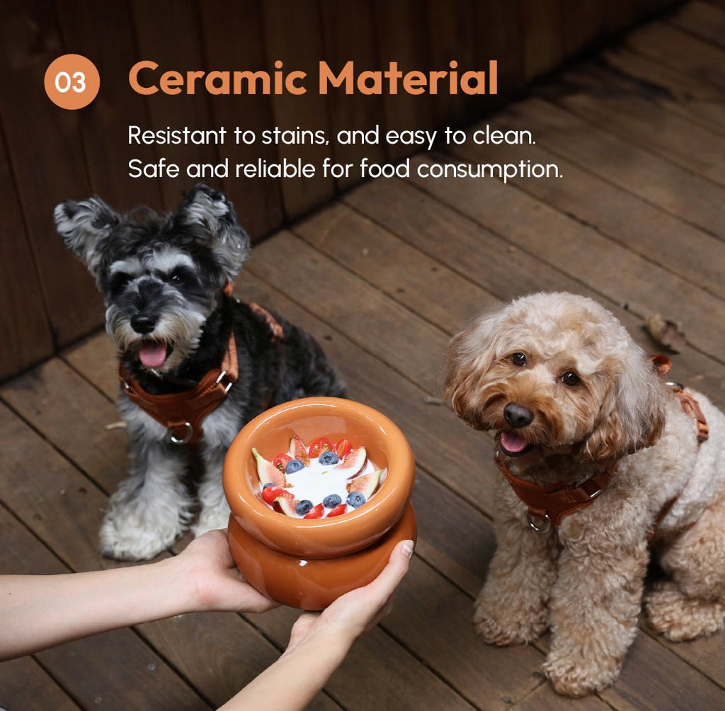 Soufflé Pet Bowl - Amber Orange - ClickCrate Soufflé Pet Bowl - Amber Orange