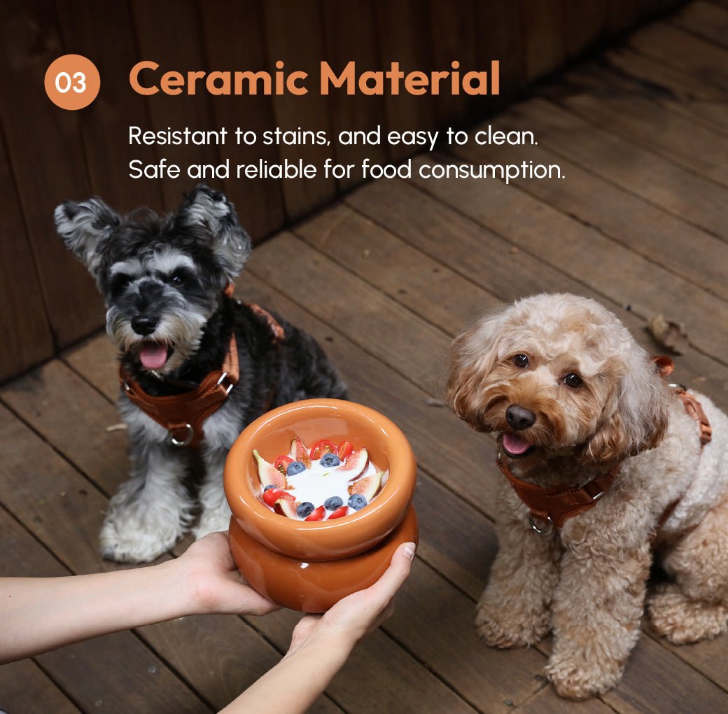 Soufflé Pet Bowl - Amber Orange - ClickCrate Soufflé Pet Bowl - Amber Orange