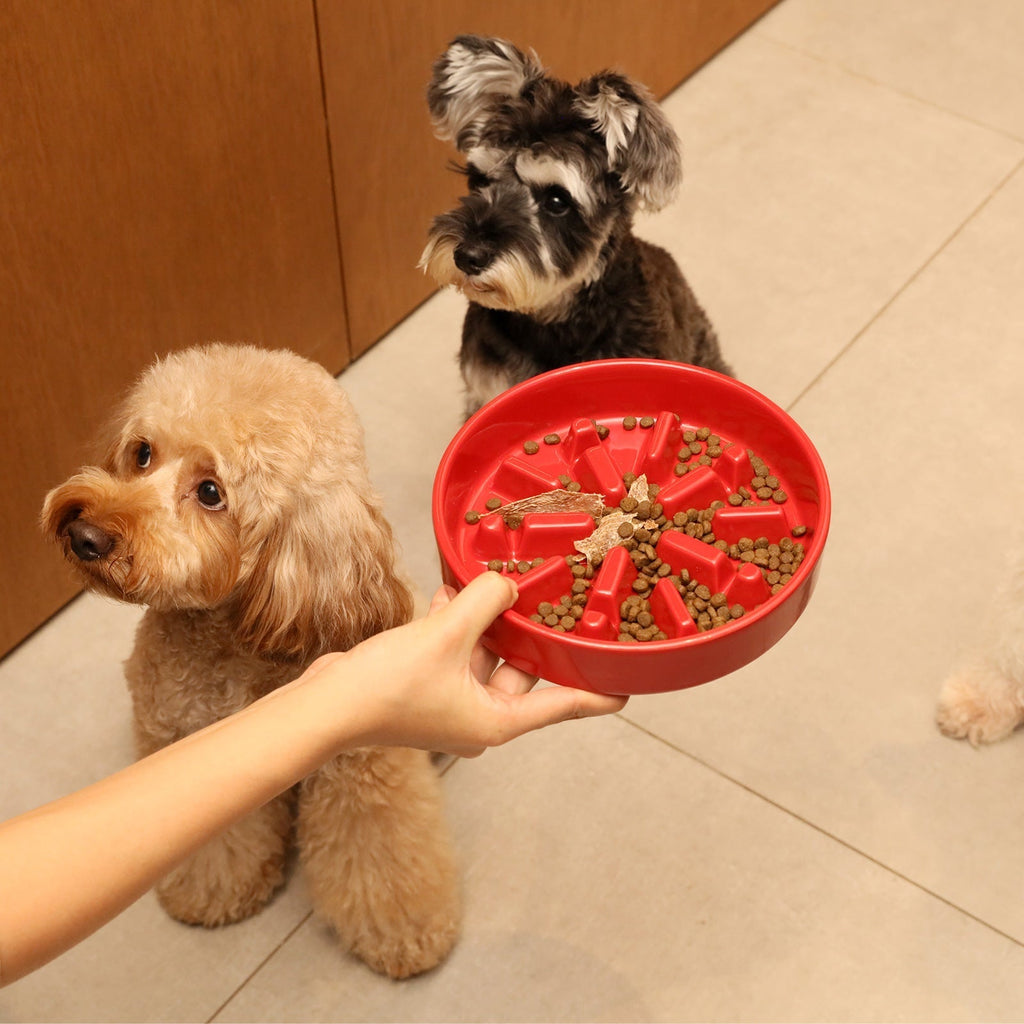 [Spark] Slow Feeder Dog Bowls - Red / Green / Blue - ClickCrate [Spark] Slow Feeder Dog Bowls - Red / Green / Blue