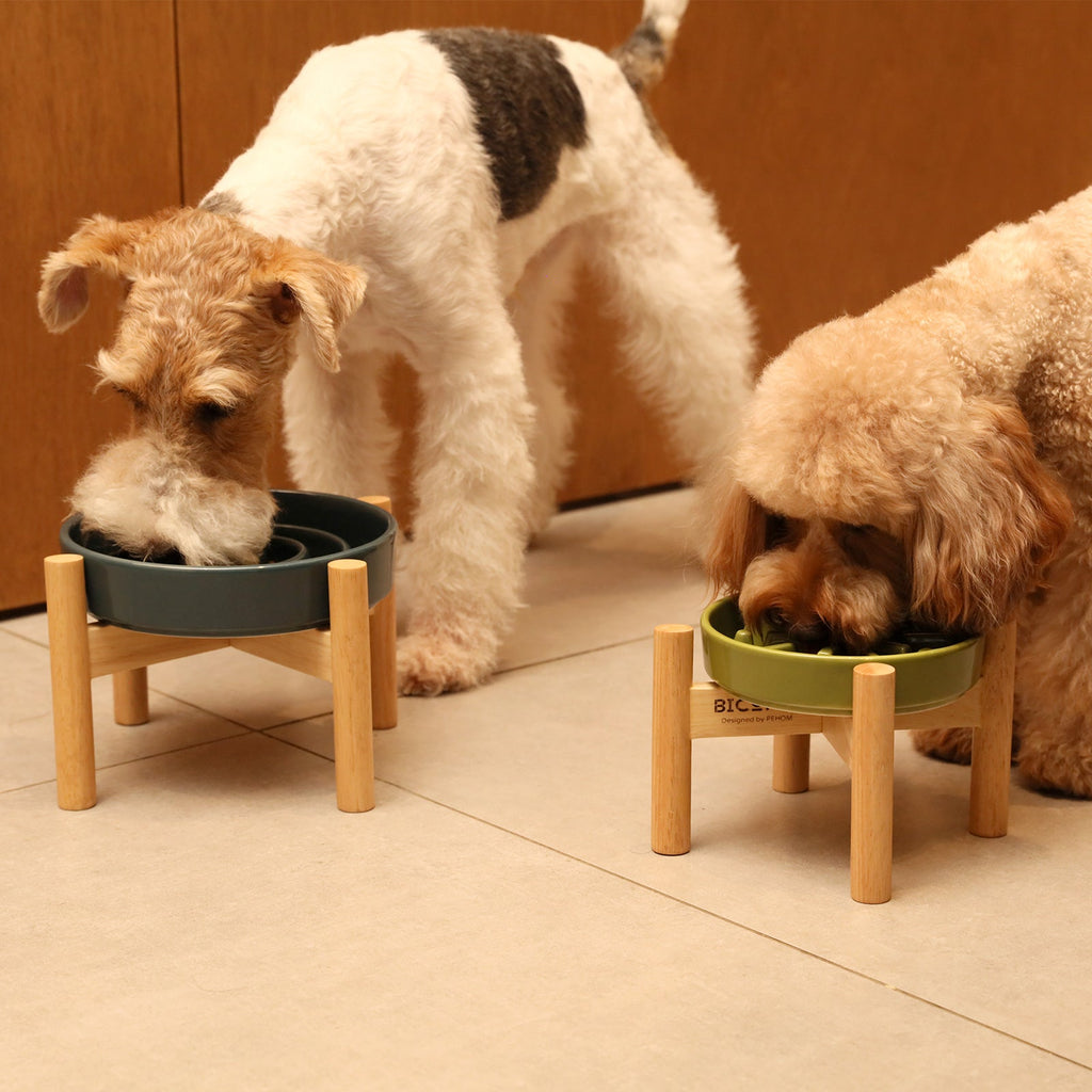 [Spark] Slow Feeder Dog Bowls - Red / Green / Blue - ClickCrate [Spark] Slow Feeder Dog Bowls - Red / Green / Blue