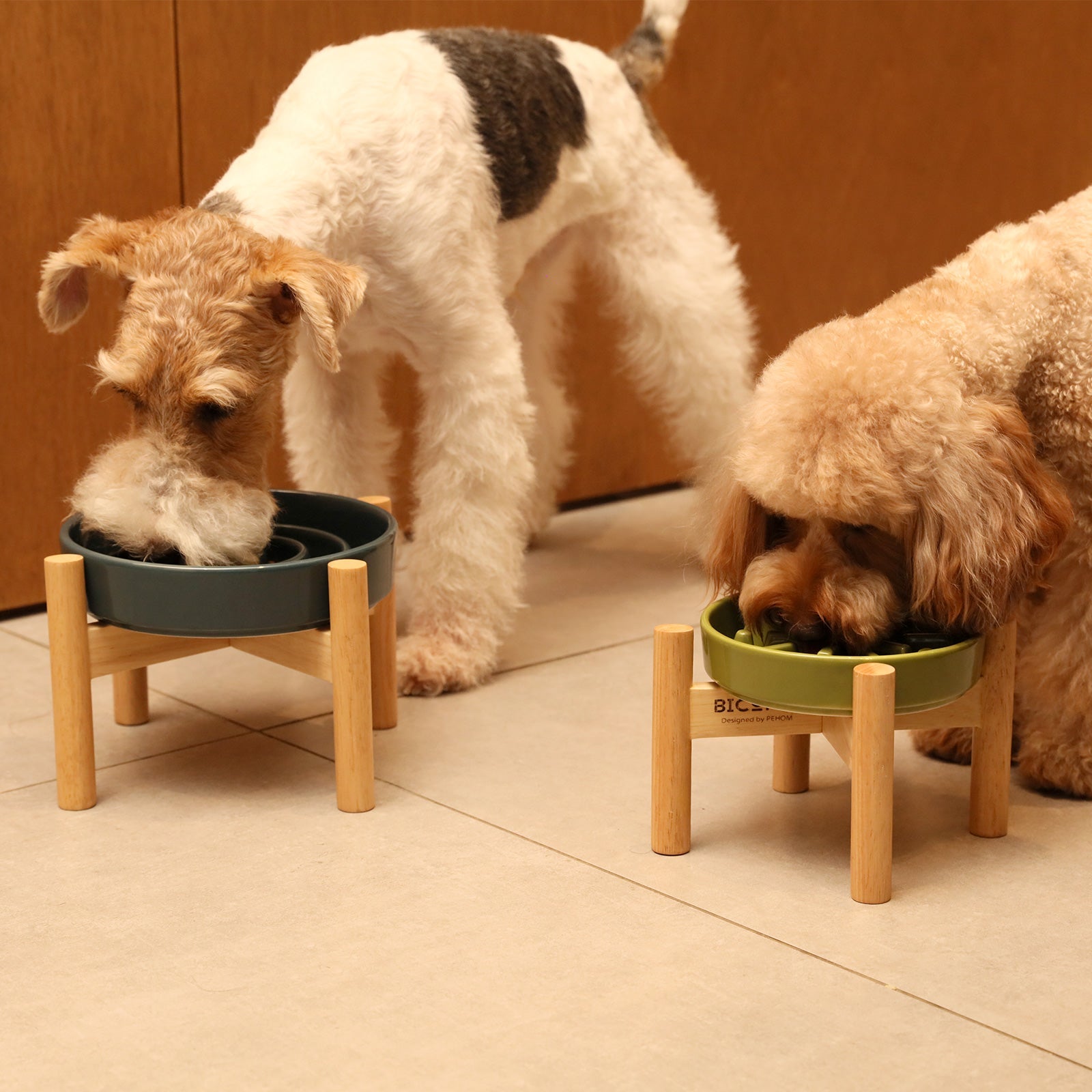 [Spark] Slow Feeder Dog Bowls - Red / Green / Blue - ClickCrate [Spark] Slow Feeder Dog Bowls - Red / Green / Blue