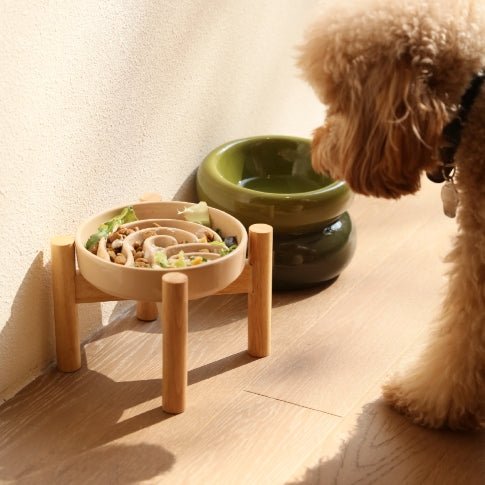 [Spark] Slow Feeder Dog Bowls - Red / Green / Blue - ClickCrate [Spark] Slow Feeder Dog Bowls - Red / Green / Blue